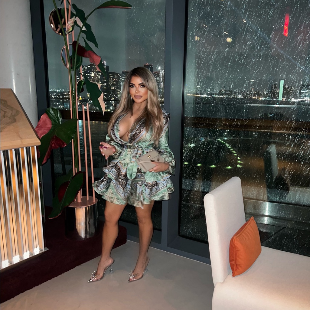 Bronx And Banco Mini Dress